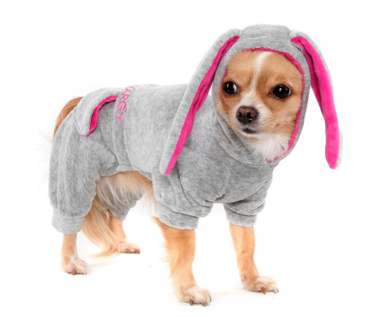алиэкспресс одежда для маленьких собак